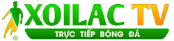 tất lưới